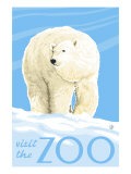 Visit the Zoo, Polar Bear Solo Arte
