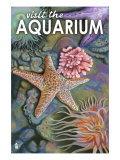 Visit the Aquarium, Tidepool Scene Print