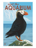 Visit the Aquarium, Tufted Puffin Scene Posters