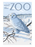 Visit the Zoo, Snowy Owl Scene Posters