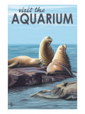 Visit the Aquarium, Sea Lions Scene Posters