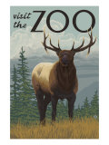 Visit the Zoo, Elk Solo Posters