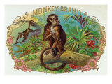 monkey label