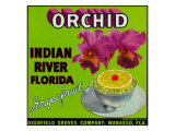 Wabasso, Florida, Orchid Brand Grapefruit Label Posters