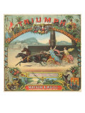 Petersburg, Virginia, Triumph Brand Tobacco Label Prints