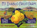Bancroft, California, Mt. Diablo Fruit Farm Brand Pear Label Prints