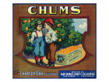 Charter Oak, California, Chums Brand Citrus Label Posters