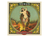 Virginia, Venus Brand Tobacco Label Prints