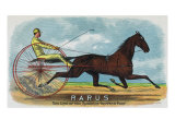 Rarus Brand Cigar Box Label, Horse Racing Posters