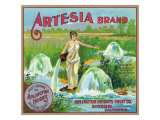 Riverside, California, Artesia Brand Citrus Label Prints