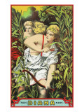 Diana Brand Tobacco Label Posters