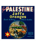 Orlando, Florida, Genuine Palestine Brand Jaffa Orange Label Prints