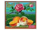 Redlands, California, Rose Brand Citrus Label Prints