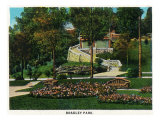 Peoria, Illinois, View of Bradley Park Posters