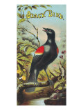 Black Bird Brand Tobacco Label Posters