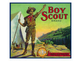 Cincinnati, Ohio, Boy Scout Brand Citrus Label Posters Cincinnati, Ohio, Boy Scout Brand Citrus Label Posters