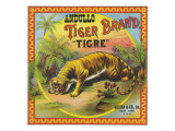 New York, Andullo Tiger Brand Tobacco Label Poster