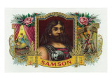 Bild zu Samson Brand