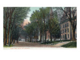 St. Johnsbury, Vermont, View of South Main Street Prints