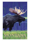 Montana, Last Best Place, Moose at Night Prints