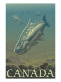 Canada, Salmon View Prints