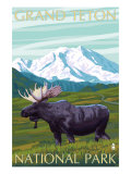 Grand Teton National Park, Wyoming, Moose and Mountains Affiche