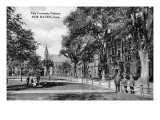 New Haven, Connecticut, View of Yale University Campus Posters