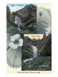 Provo Canyon, Utah, Views of Bridal Veil and Upper Falls with Flowers Photo