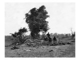 Antietam, MD, Antietam Battlefield, Civil War Prints