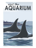 Visit the Aquarium, Orca Fins Prints
