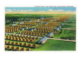 Camp Shelby, Mississippi, Aerial View of the Tented City Posters