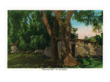 Las Vegas, Nevada, View of the Old Fort Posters