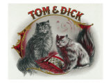 Tom and Dick Brand Cigar Box Label, Cats Posters