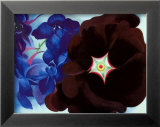 Black Hollyhock Blue Larkspur, 1930 Prints by Georgia O'Keeffe