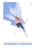 Hidden Valley, Pennsylvania, Stylized Skier Fotografía Hidden Valley, Pennsylvania, Stylized Skier Fotografía
