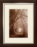 Enchanted Path Art by Paul Kozal
