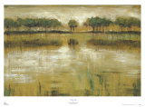 Tiverton Lake Posters by Jack Roth