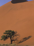 Soussevlei Sand Dune at Sunrise, Namibia Photographie par Claudia Adams