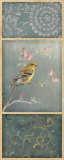 Female Goldfinch Affiches par Danhui Nai