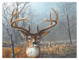 Morning Mist Prints by Carolyn Mock Morning Mist Prints by Carolyn Mock