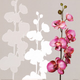 Silhouette Orchids II Plakater af Roxi Gray