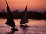 Traditional Feluccas Set Sail on the Nile River, Egypt Photographic Print by Nik Wheeler