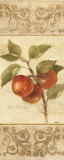 Apple Botanical Brocade II Pósters por Albena Hristova Apple Botanical Brocade II Pósters por Albena Hristova