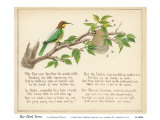 Bee Bird Verse Poster by Nathaniel Tweet