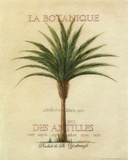 La Botanique Affiches van Beth Yarbrough La Botanique Affiches van Beth Yarbrough