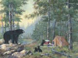 Bears' Campsite Prints by Anita Phillips
