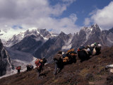 Yak Drivers Above the Kangshung, Tibet Lámina fotográfica por Vassi Koutsaftis Yak Drivers Above the Kangshung, Tibet Lámina fotográfica por Vassi Koutsaftis