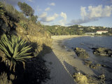 Limetree Bay, St. Thomas, Caribbean Photographie par Robin Hill