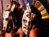 Zulu Zebra Masked Dancers, South Africa Photographic Print by Claudia Adams
