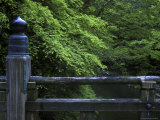 Ise Shrine Naigu Bridge, Japan Lámina fotográfica por Rob Tilley